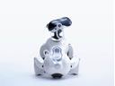 AIBO robothond